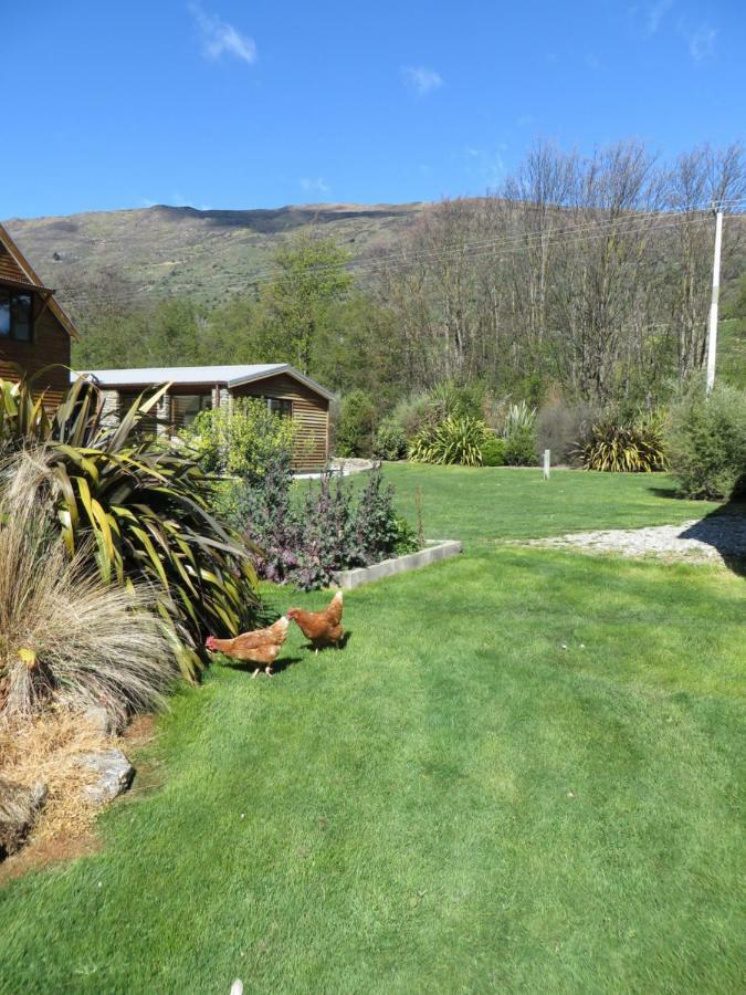 Quiet Studio In Paradise Wanaka Bagian luar foto