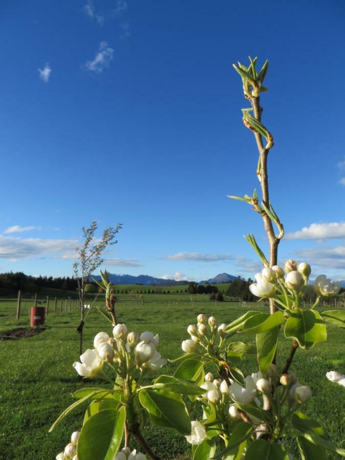 Quiet Studio In Paradise Wanaka Bagian luar foto